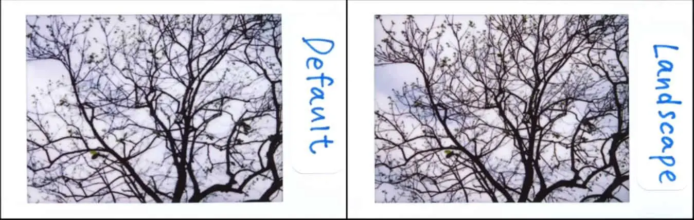 Default vs Landscape Mode tree